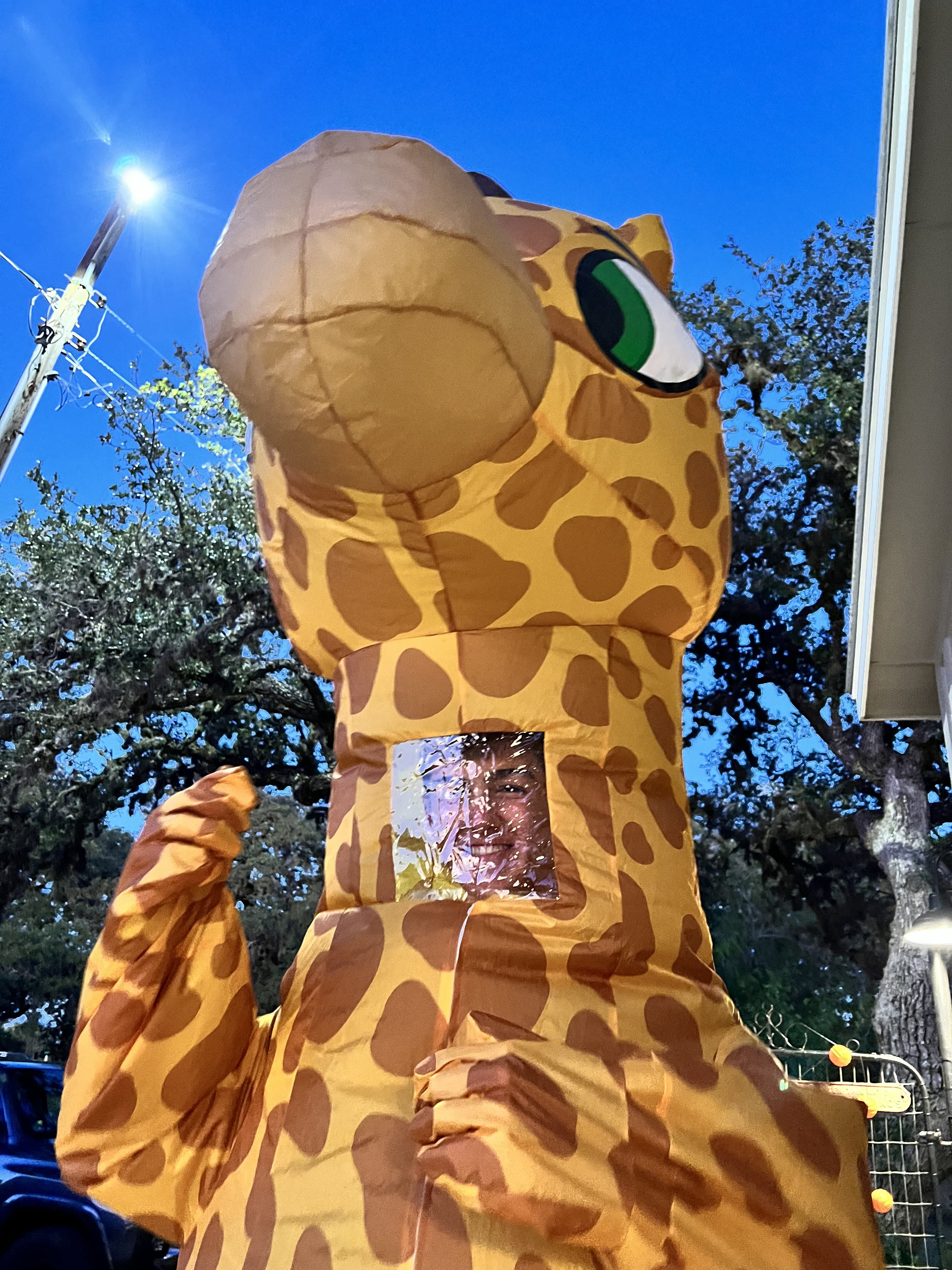 Turner in a giraffe costume